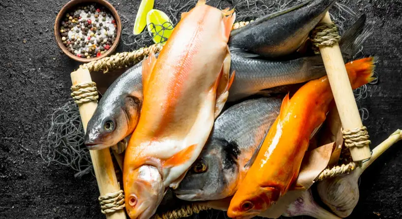 سعر السمك اليوم، فيتو