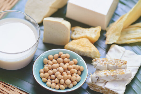 مصادر البروبيوتيك