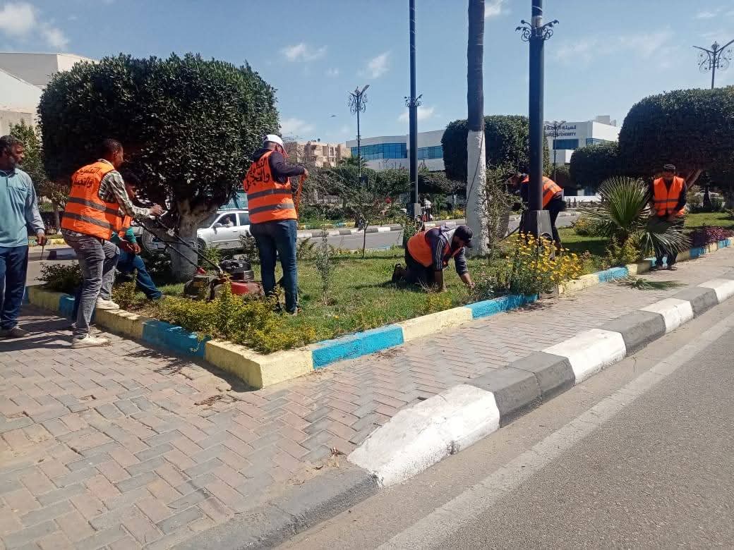 جانب من أعمال التجميل، فيتو