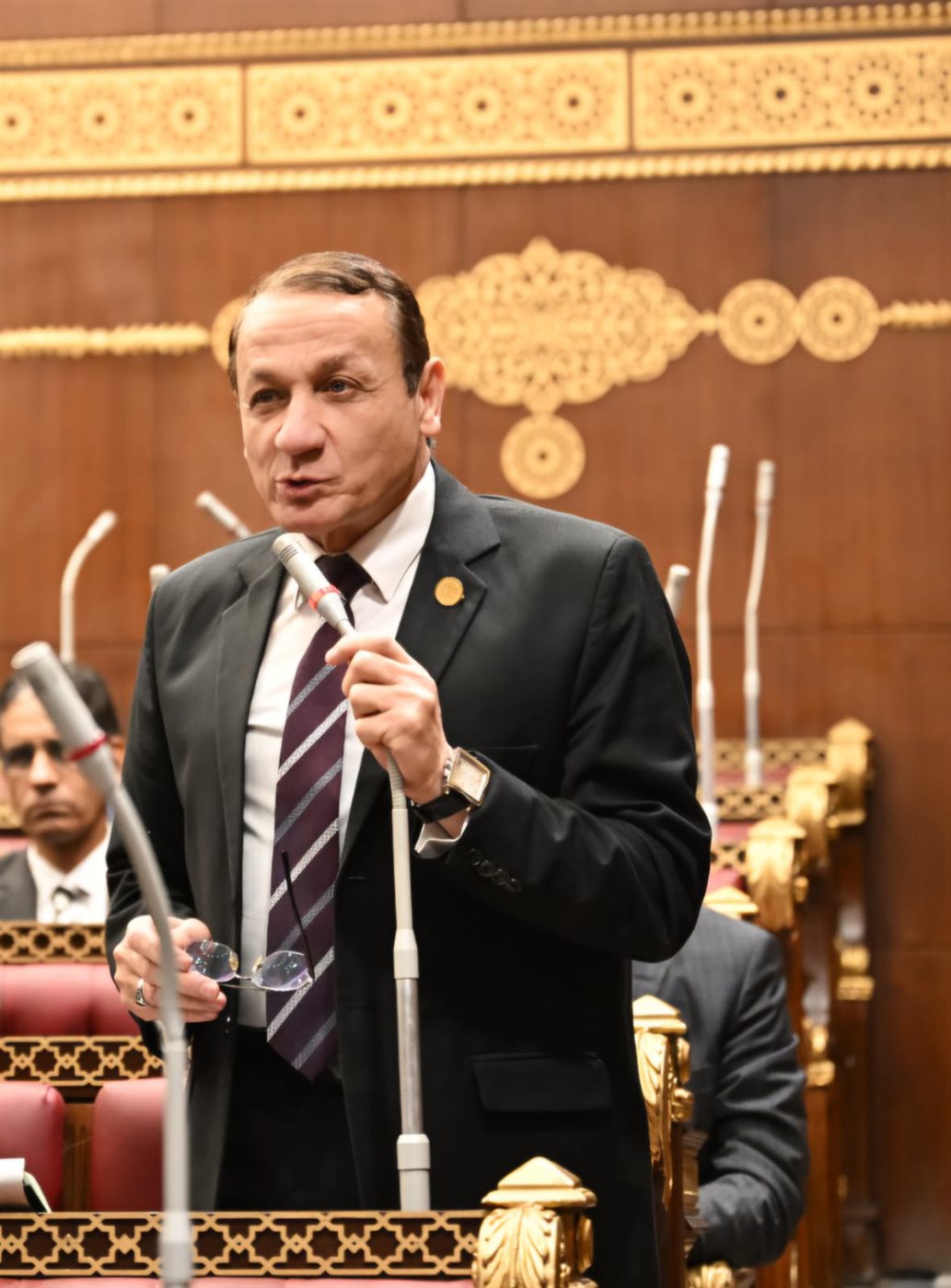 رئيس برلمانية حماة الوطن بالشيوخ 