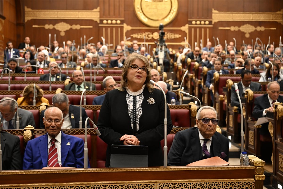 النائبة فيبي فوزي وكيل مجلس الشيوخ 