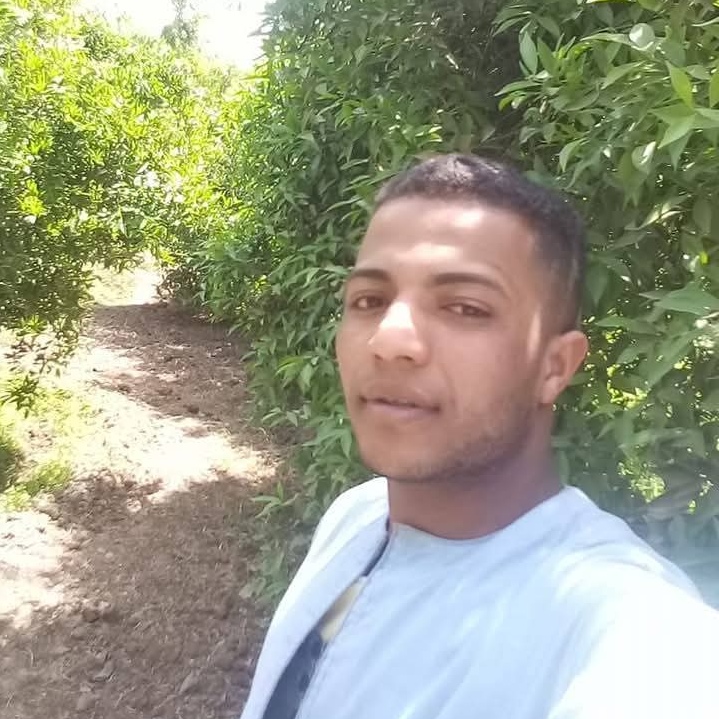 صورة ضحية بئر المنيا، فيتو