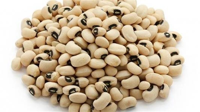 فوائد اللوبيا 