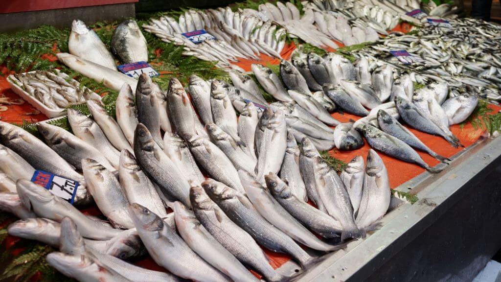 سعر السمك اليوم، فيتو