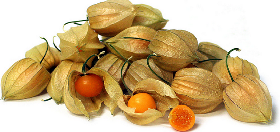 فوائد الحرنكش للصحة