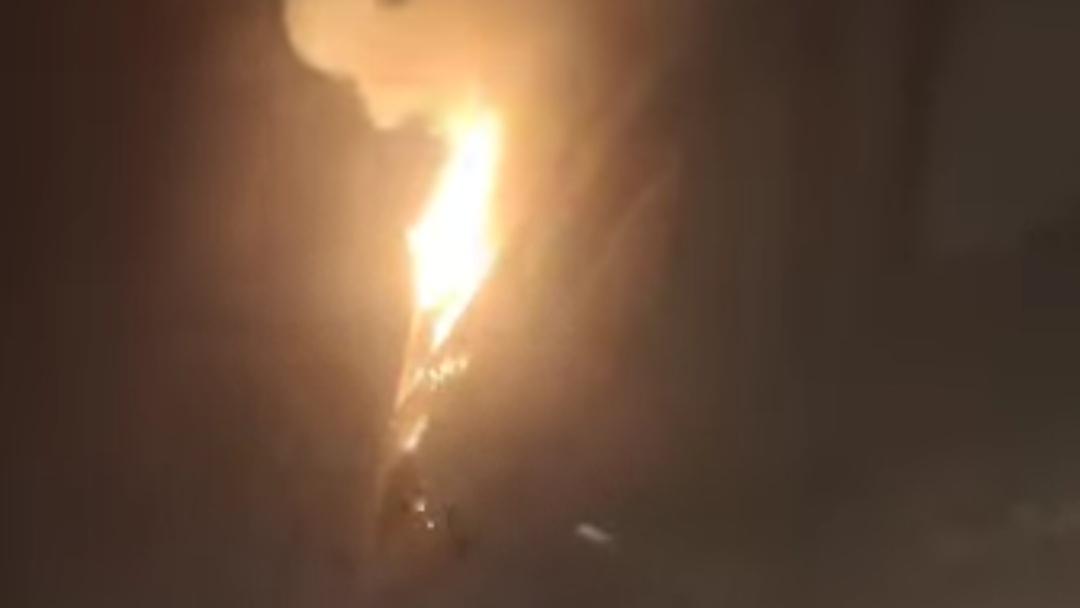 حريق مستشفى السلام بمدينة المنيا، فيتو 