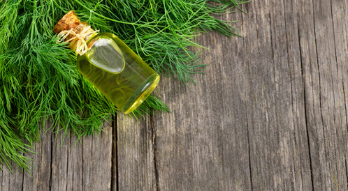 فوائد الشبت للصحة 