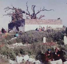 ضريح الإمام النووي، فيتو