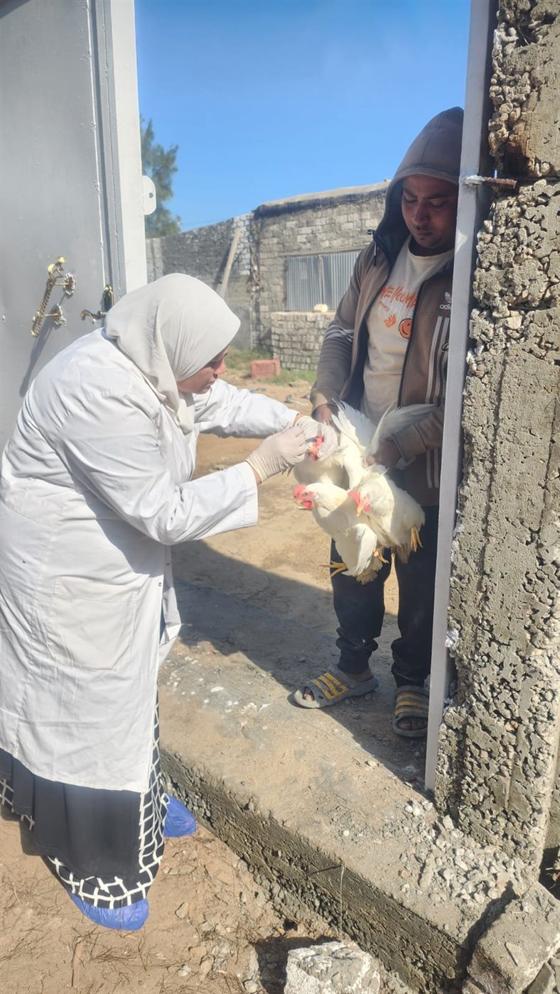 جانب من الحملات، فيتو