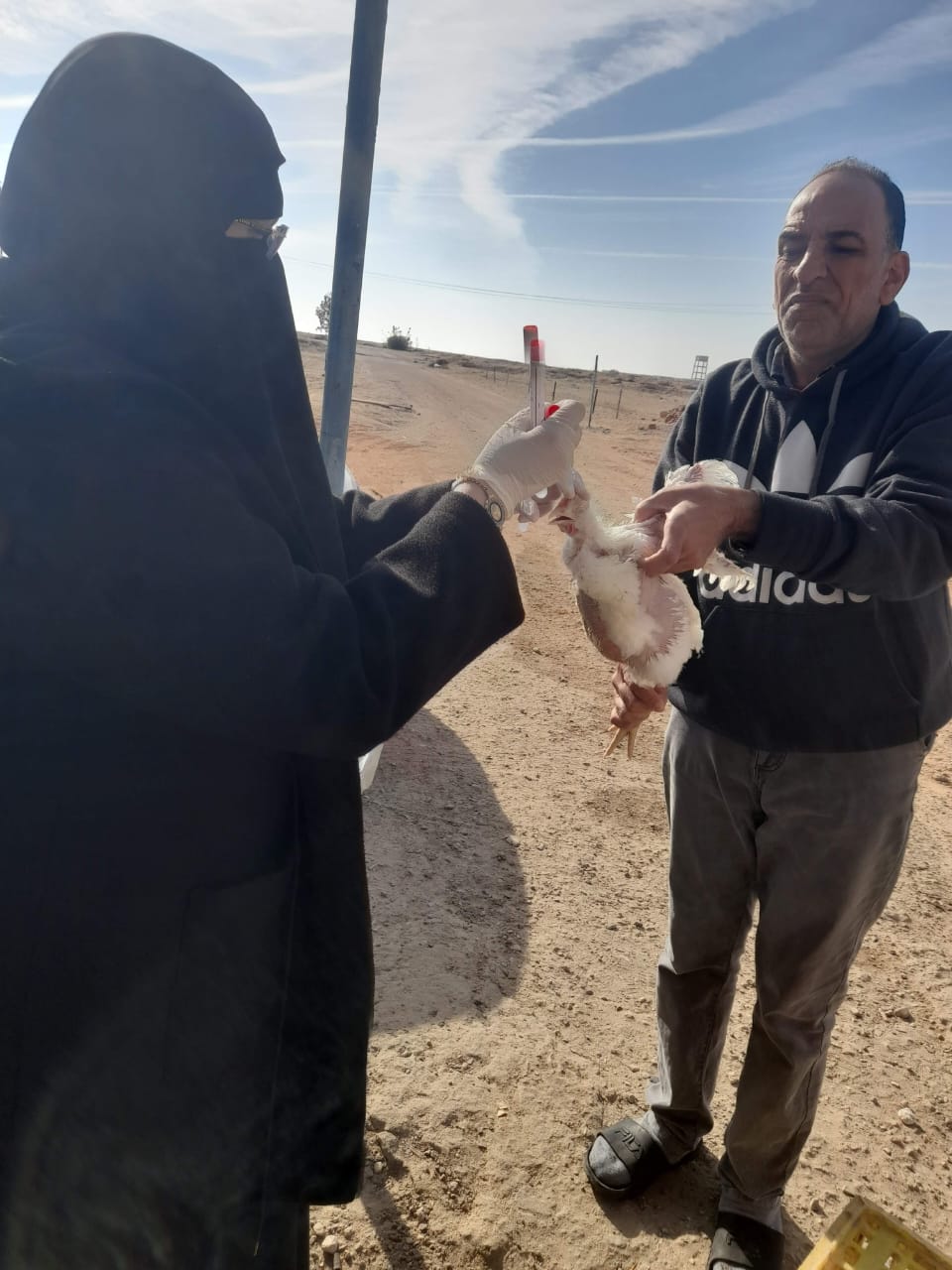 جانب من الحملات، فيتو