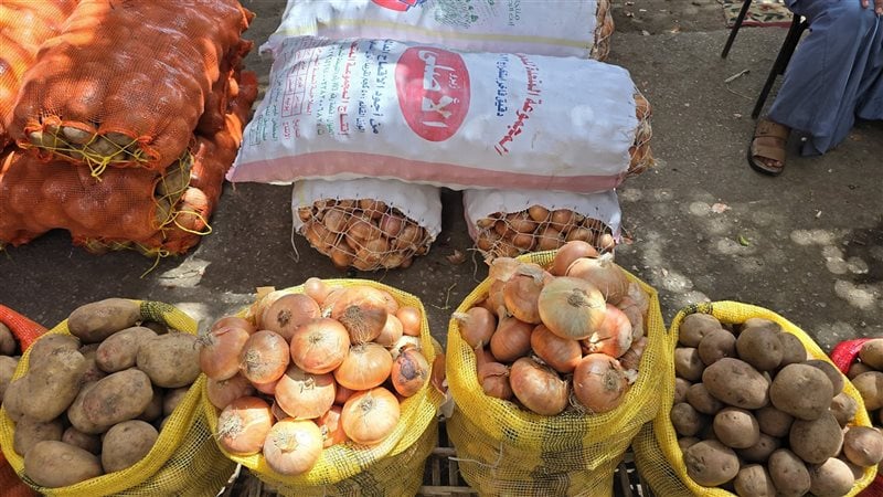 اسعار الخضار