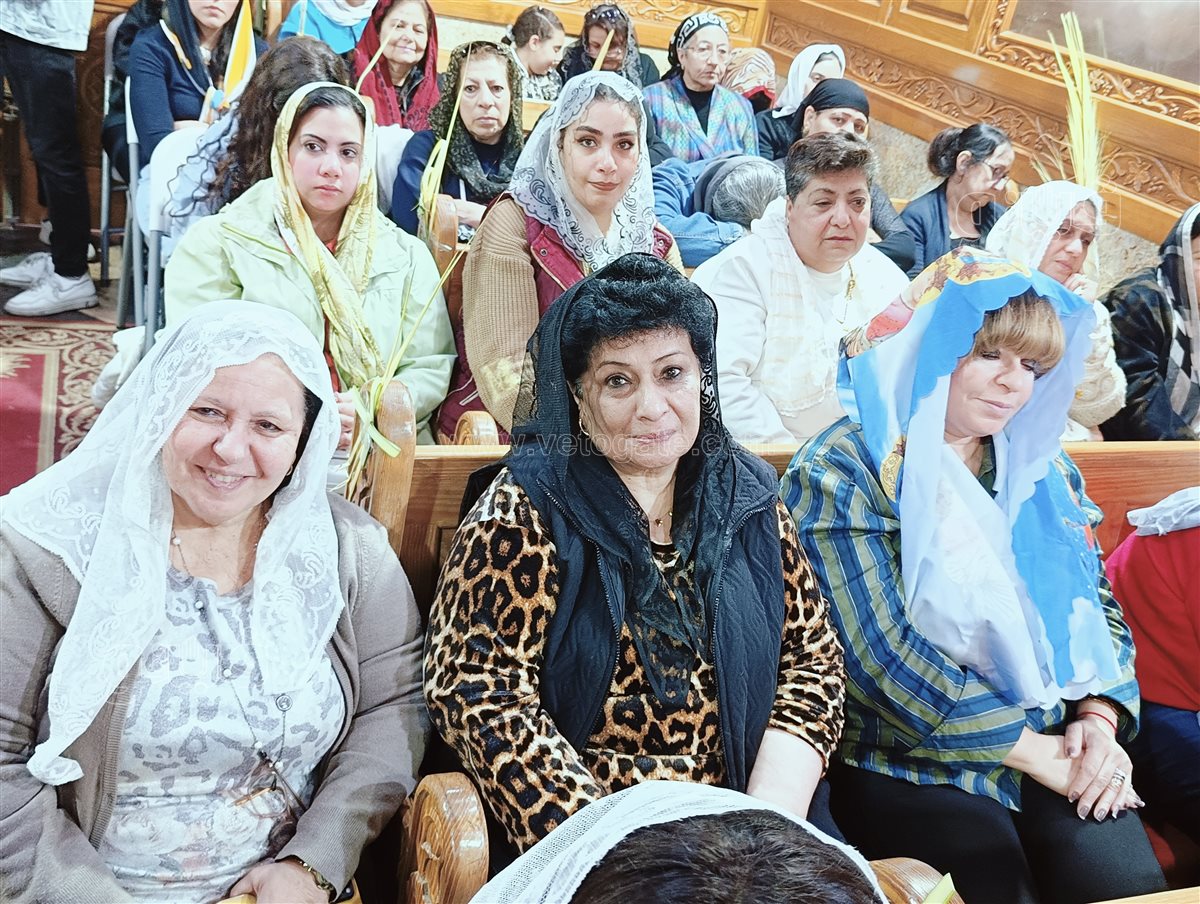 قداس أحد السعف ببورسعيد، فيتو