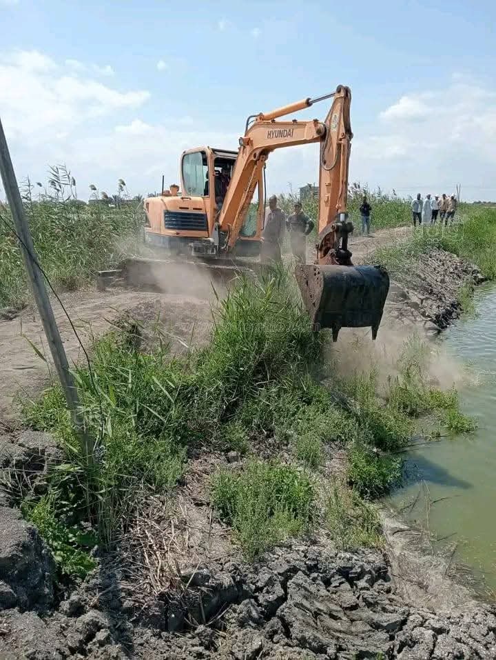 حملة لإزالة التعديات على أراضي الدولة ببورسعيد، فيتو