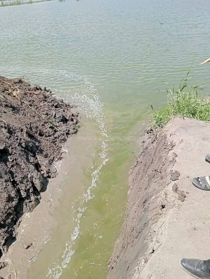 حملة لإزالة التعديات على أراضي الدولة ببورسعيد، فيتو