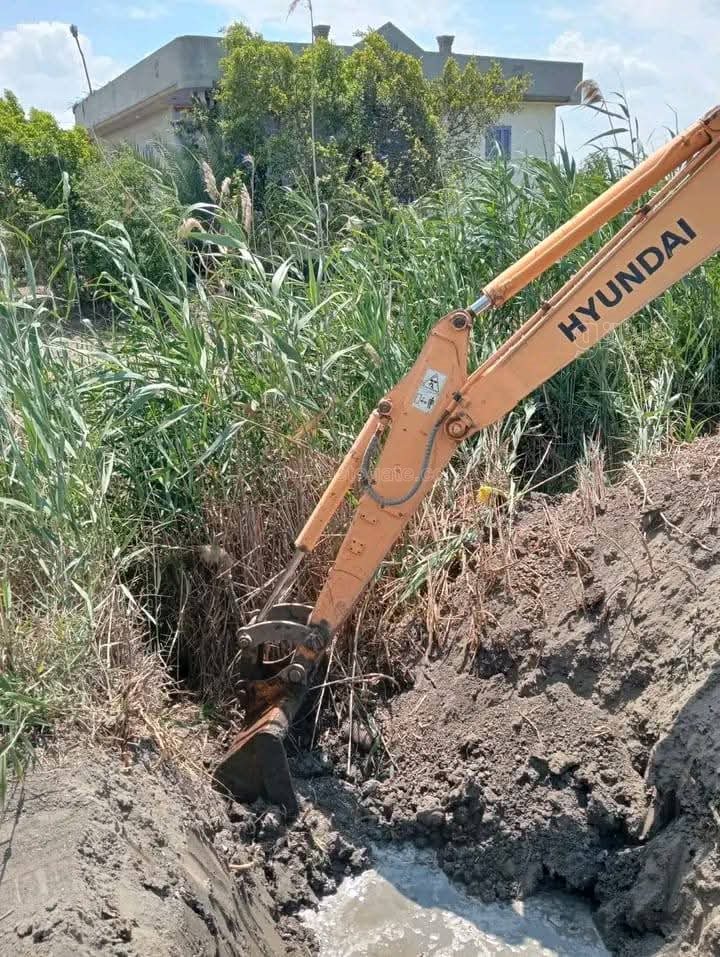 حملة لإزالة التعديات على أراضي الدولة ببورسعيد، فيتو