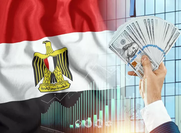 تشجيع الاستثمار في مصر، فيتو