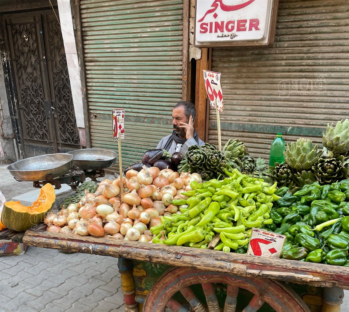 اسعار الخضار 