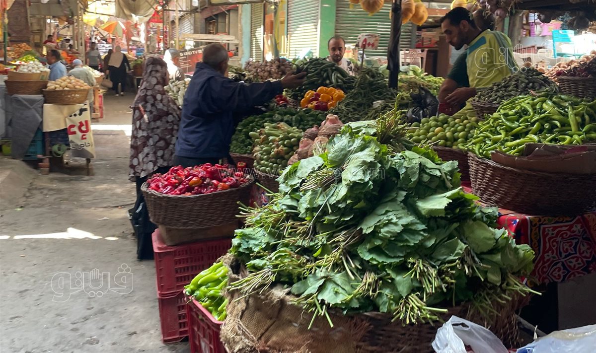 اسعار الخضار 