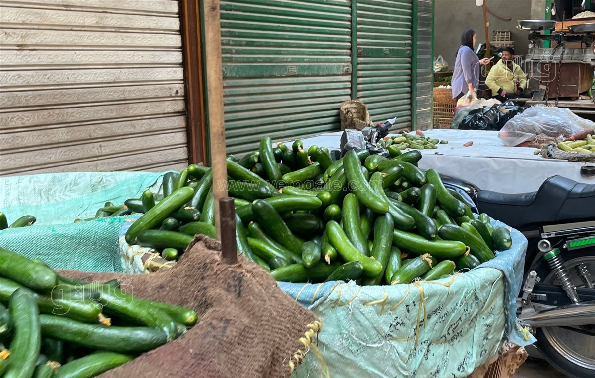 اسعار الخضار 