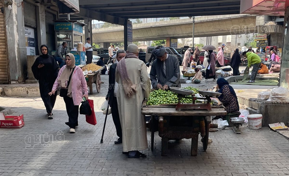 اسعار الخضار 