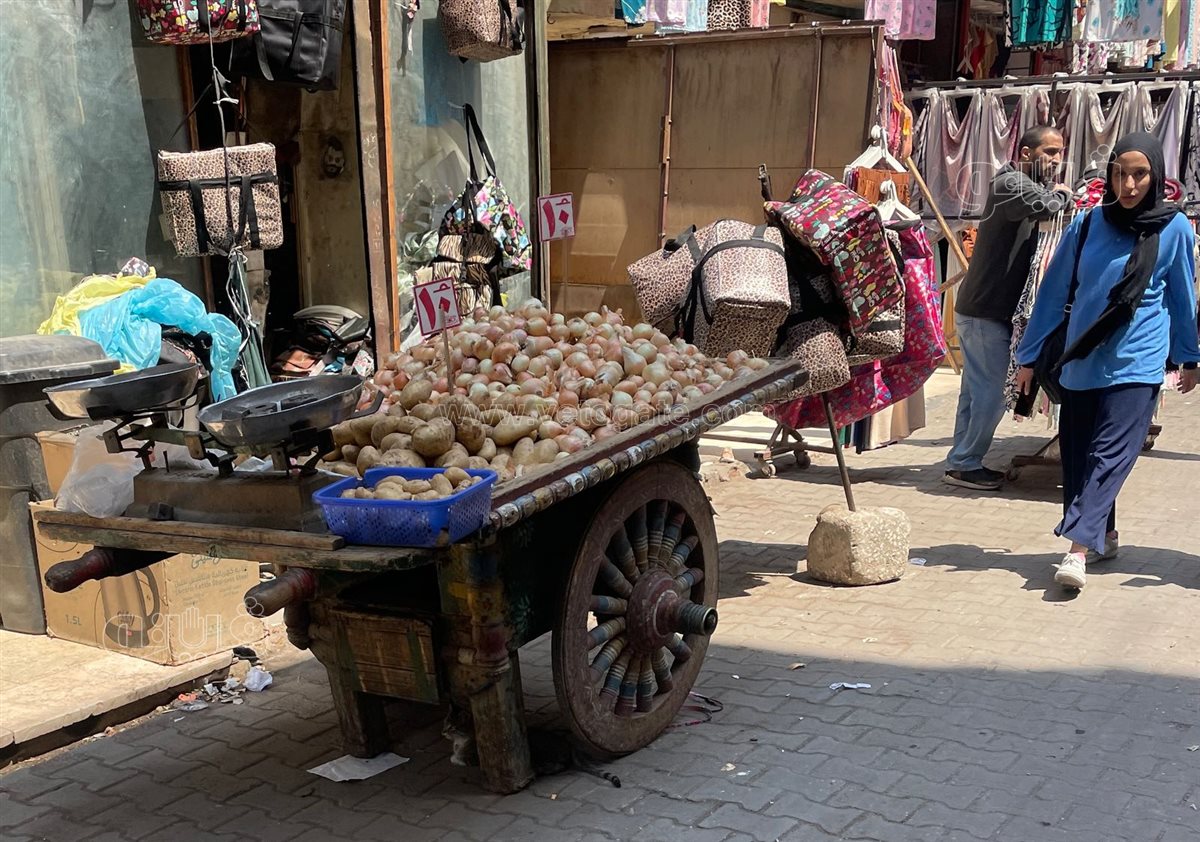 اسعار الخضار 