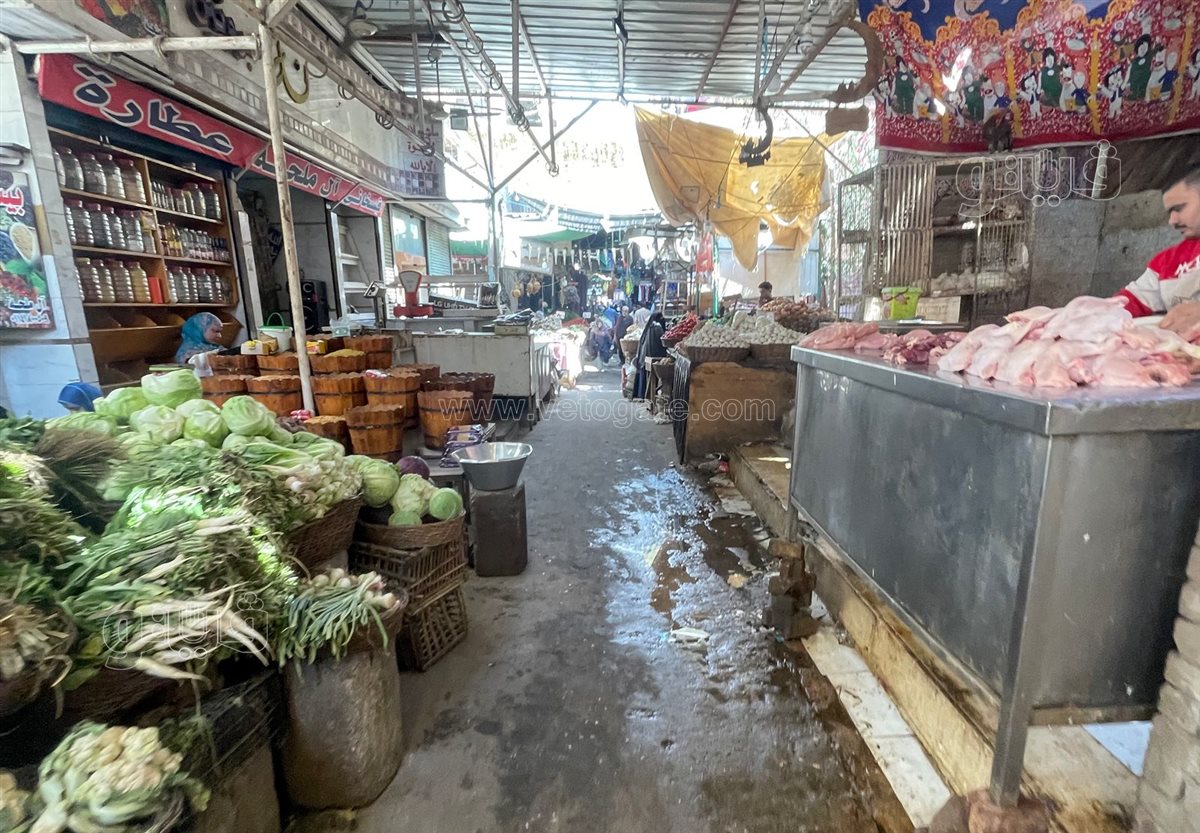 اسعار الخضار 