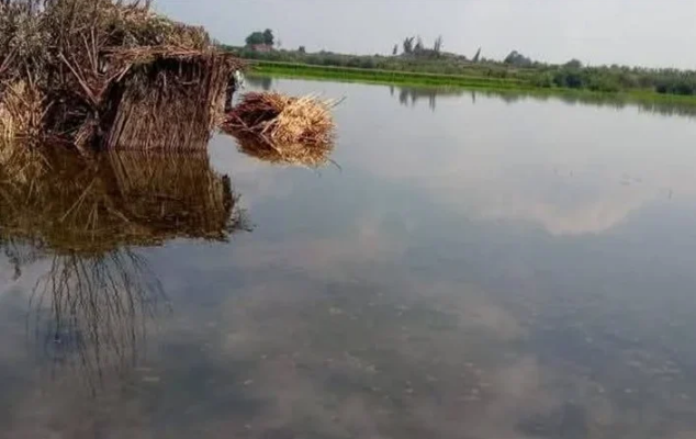 خسائر غمر الأراضي الزراعية بالمياه، فيتو