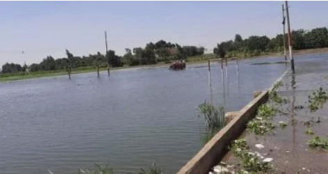 غرق الأراضي الزراعية وخسائر المزارعين، فيتو