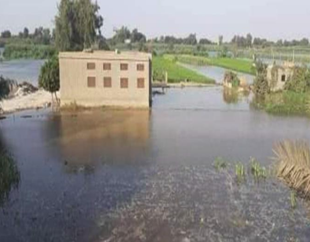 غرق المحاصيل لزيادة المياه، فيتو