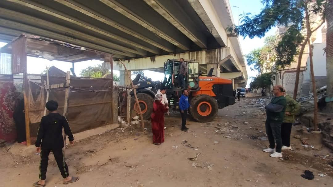 جانب من الحملة،فيتو