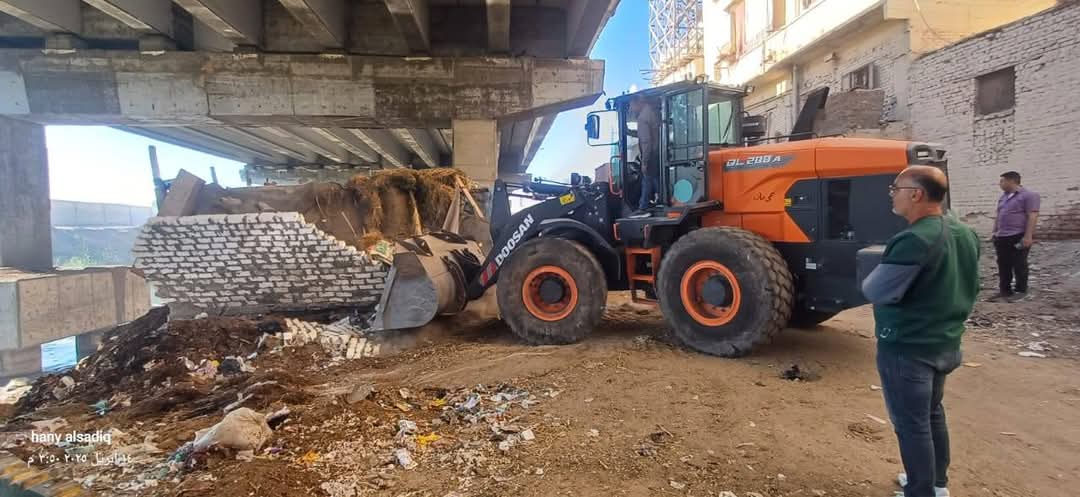 جانب من الحملة،فيتو