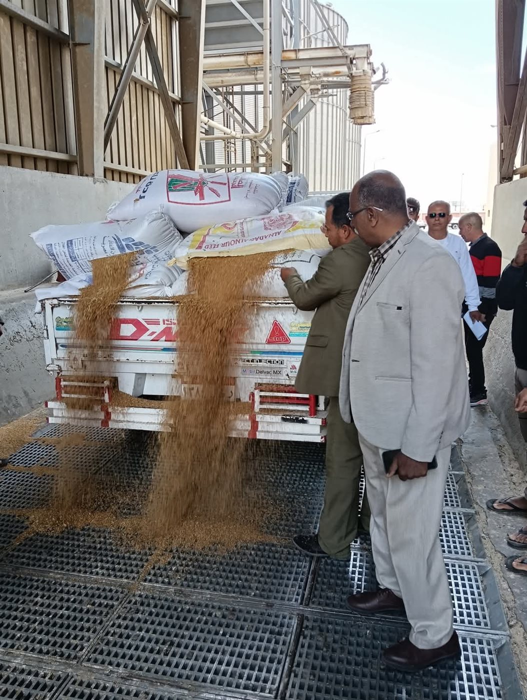 جانب من بدء استلام القمح، فيتو