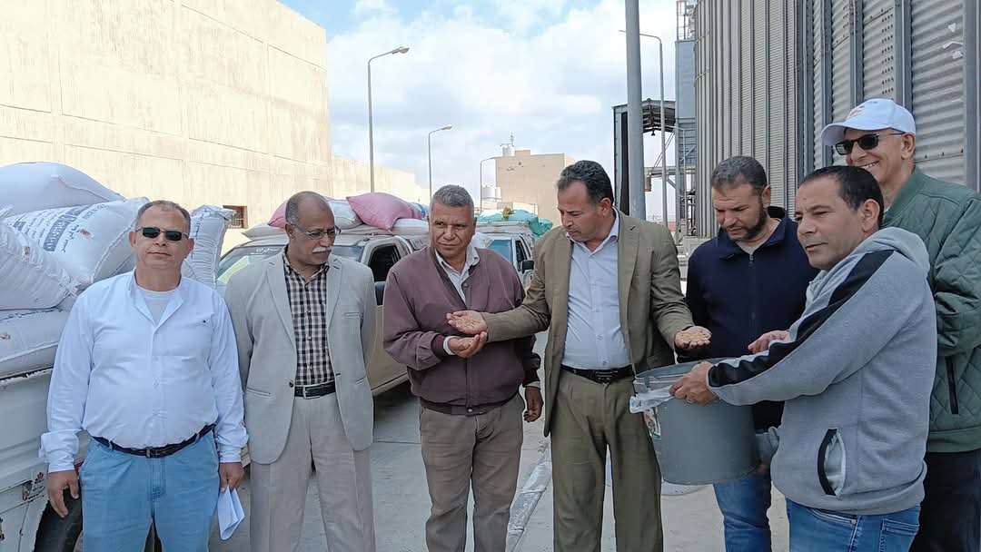 جانب من بدء استلام القمح، فيتو