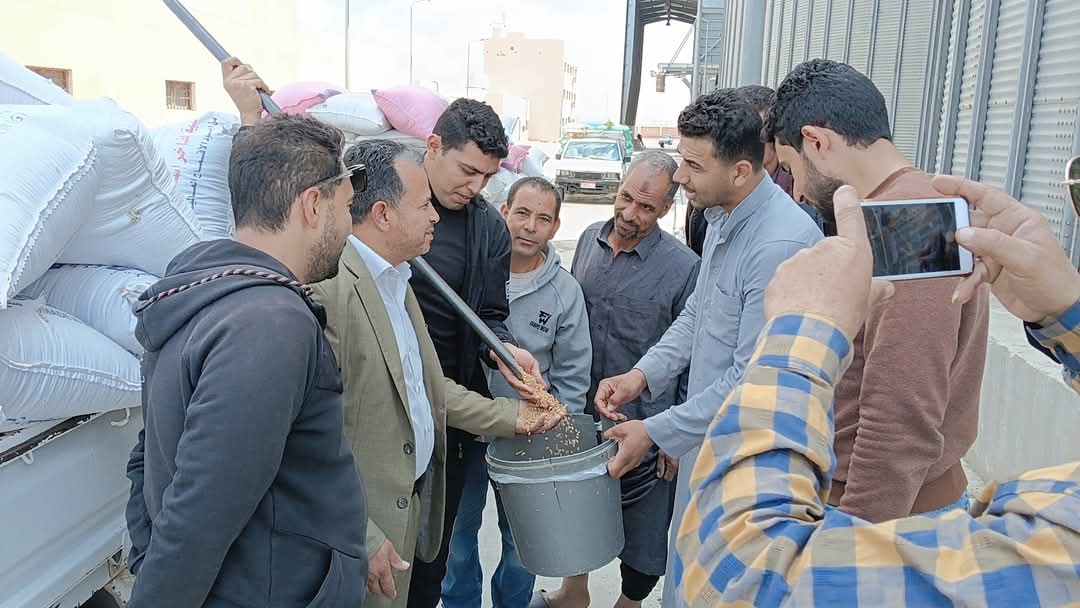 جانب من بدء استلام القمح، فيتو