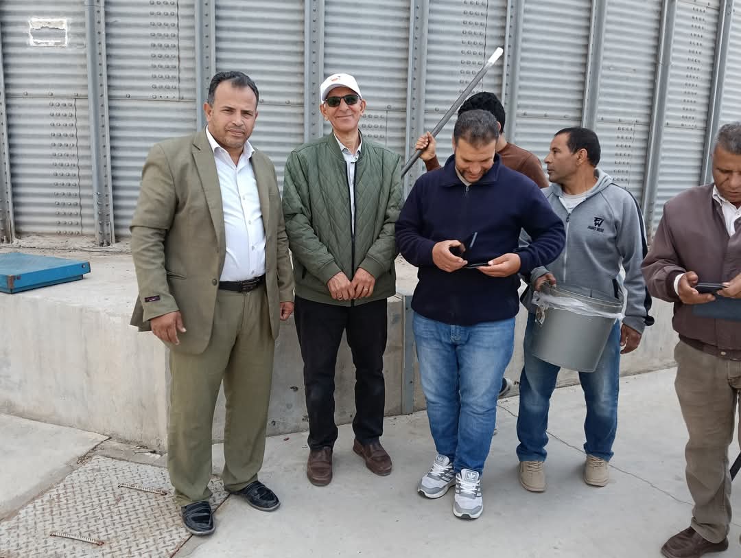 جانب من بدء استلام القمح، فيتو