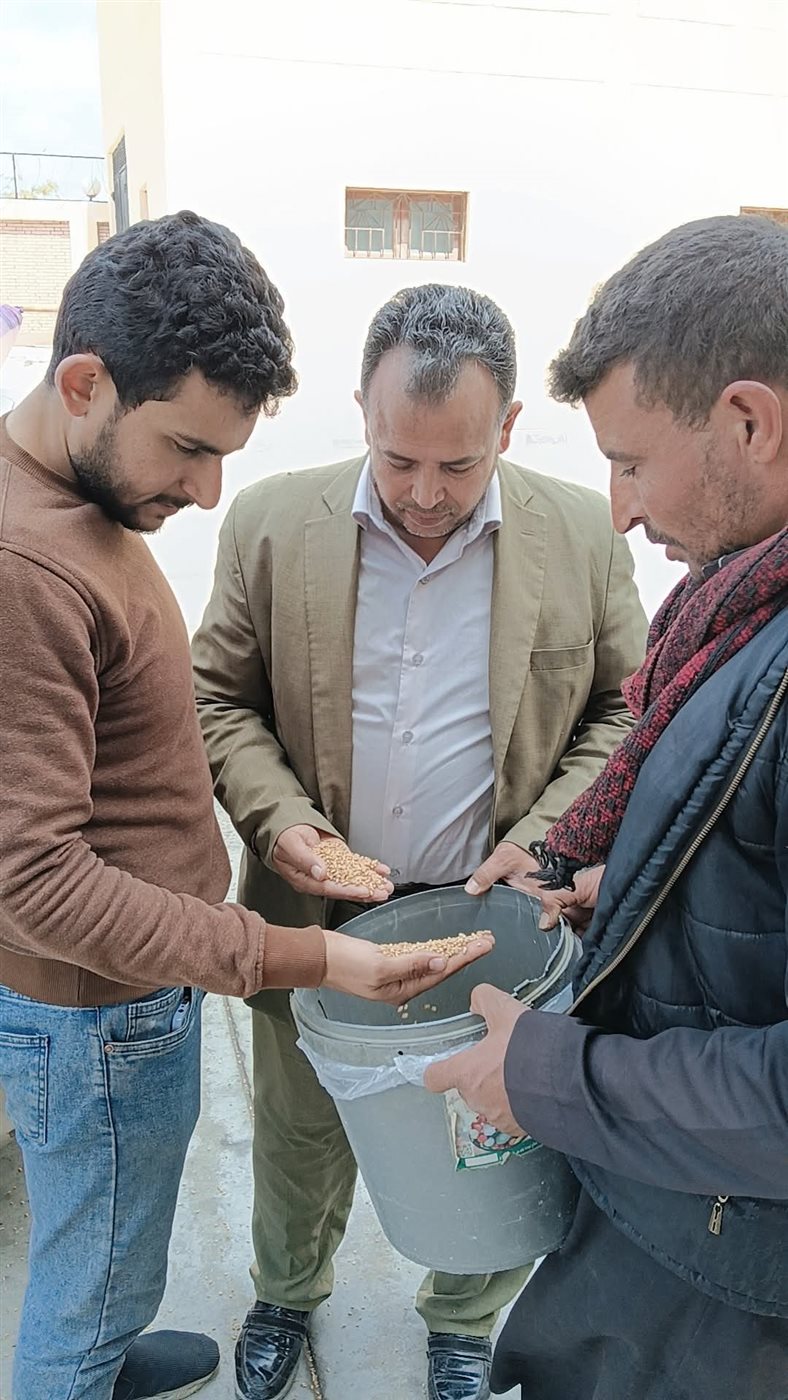 جانب من بدء استلام القمح، فيتو