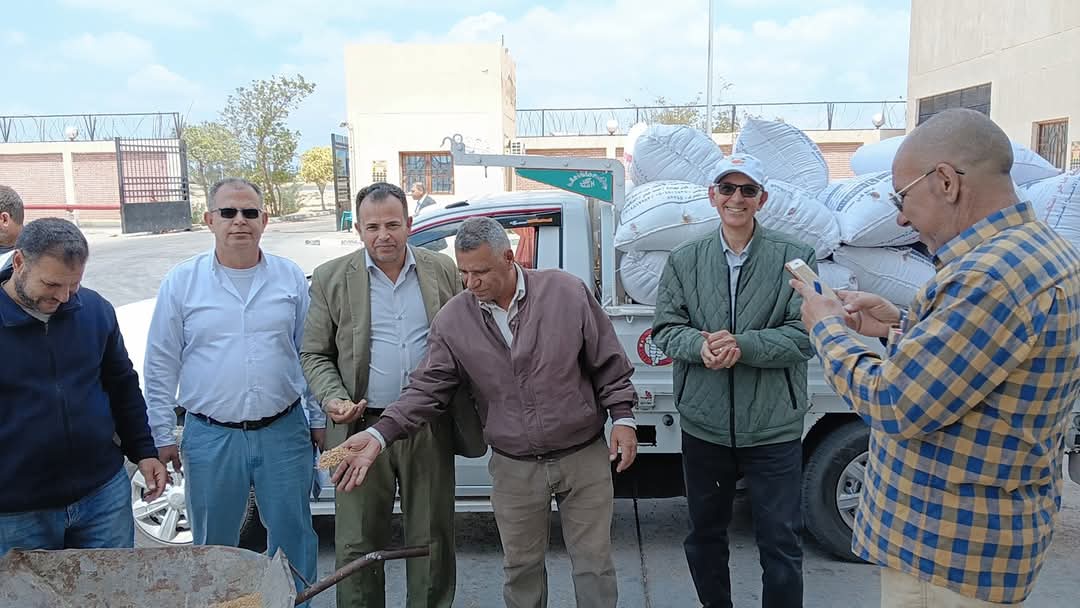 جانب من بدء استلام القمح، فيتو