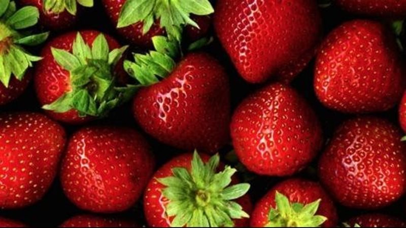 فوائد الفراولة للصحة
