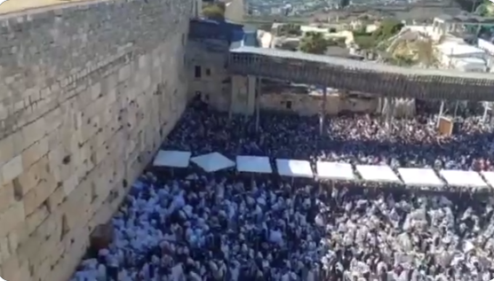 اقتحام المستوطنين لباحات المسجد الاقصى، فيتو