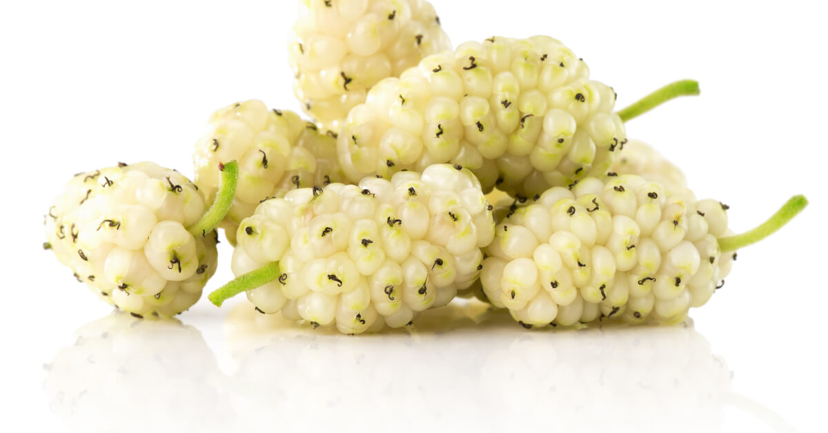 فوائد التوت الأبيض للصحة 