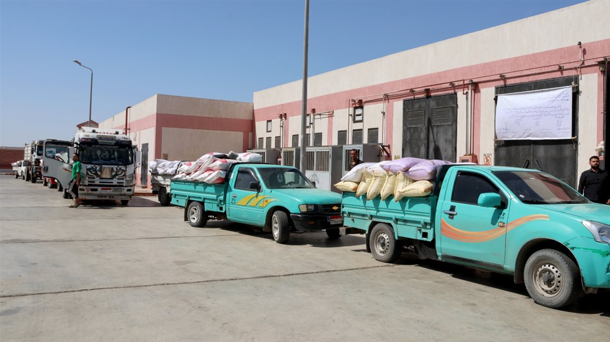 جانب من الجولة،فيتو