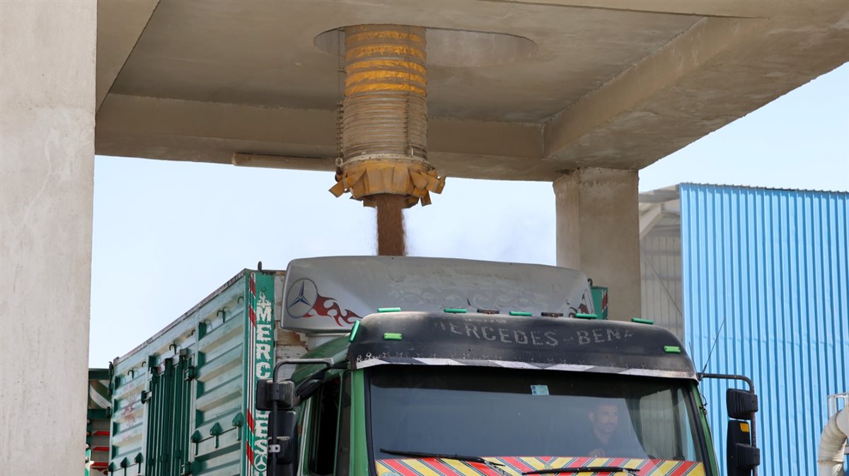 جانب من الجولة،فيتو