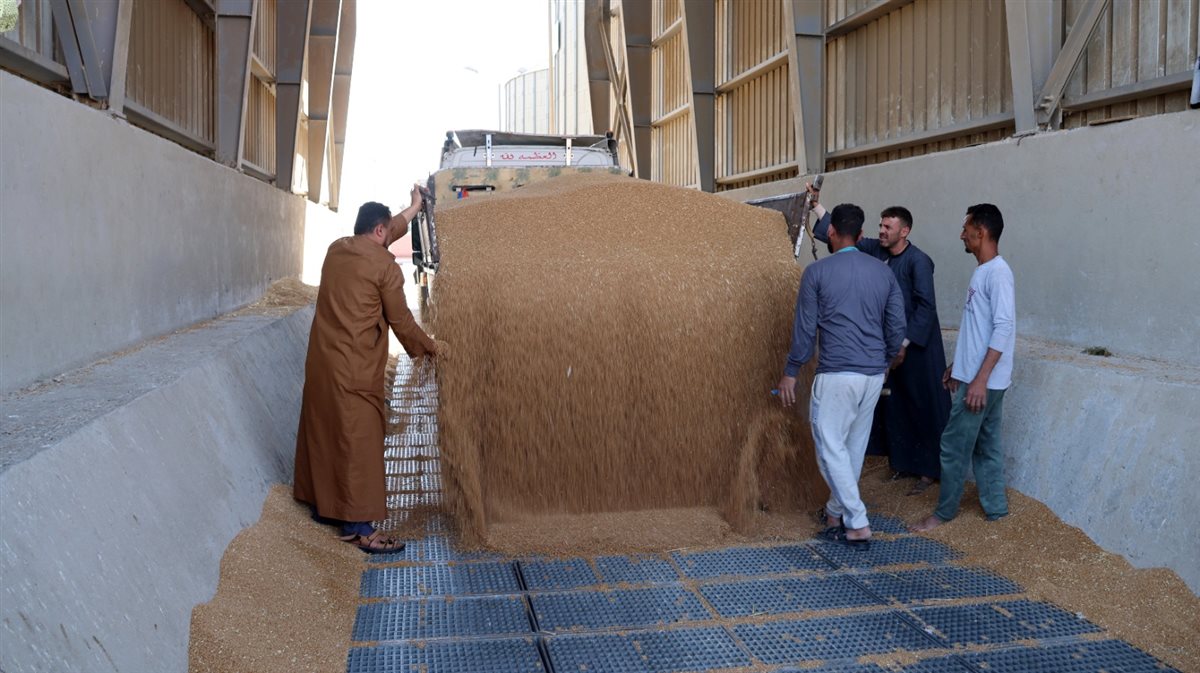 جانب من الجولة،فيتو