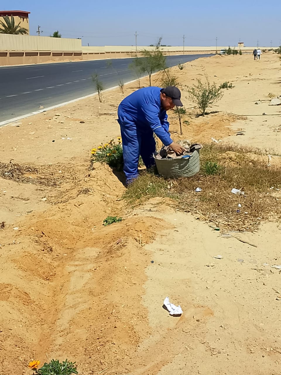 جانب من أعمال التجميل، فيتو