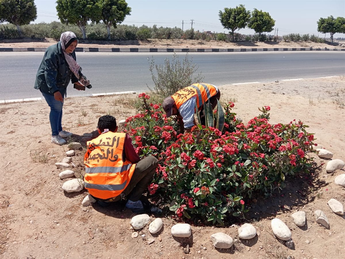 جانب من أعمال الحملة،فيتو