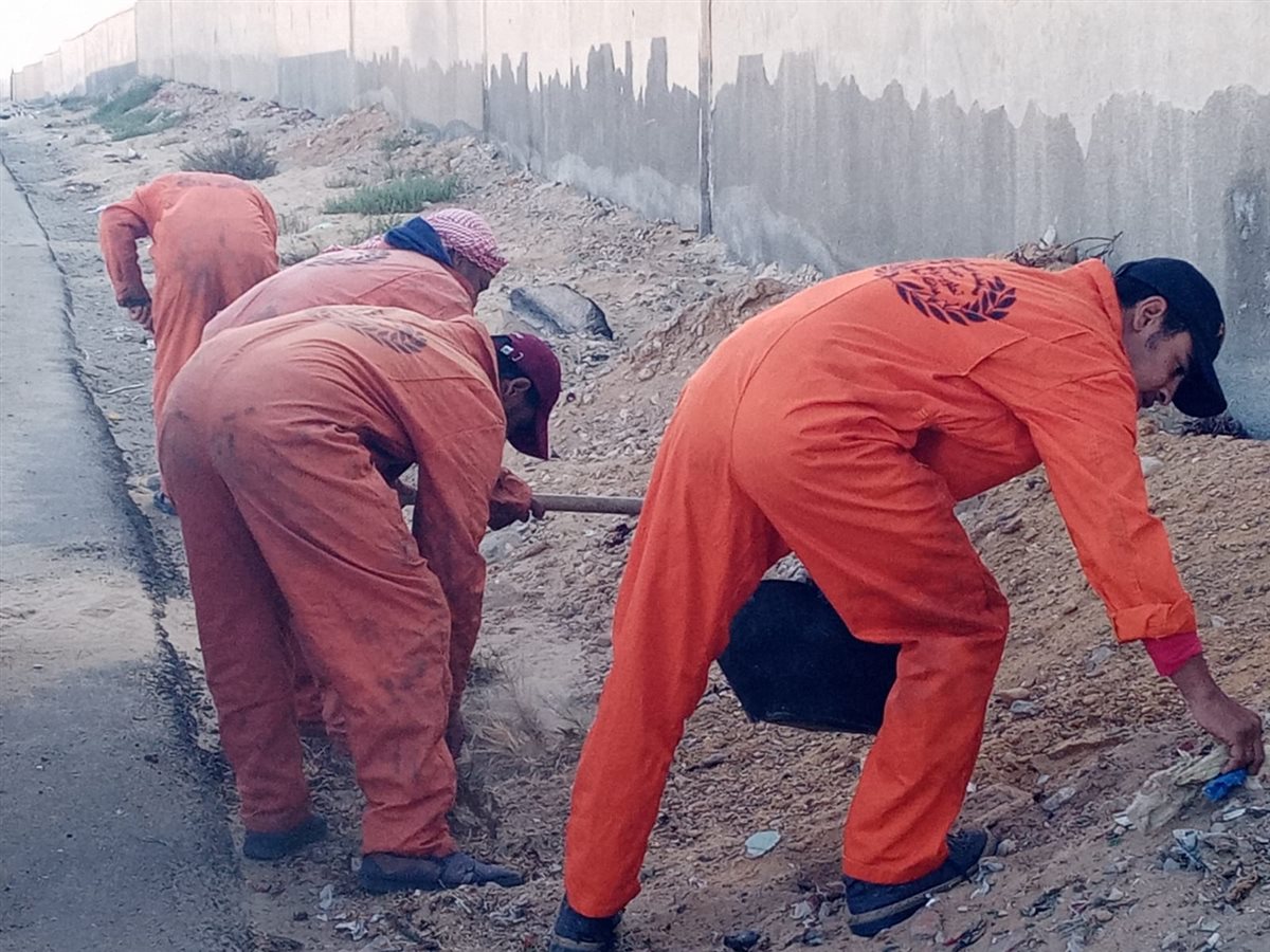 جانب من أعمال الحملة،فيتو