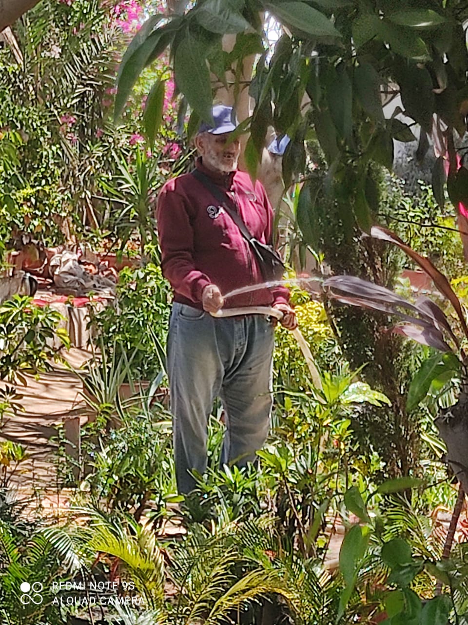 جانب من أعمال الحملة،فيتو