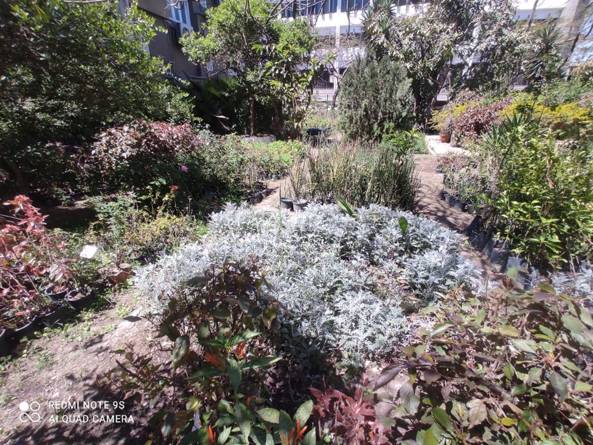 جانب من أعمال الحملة،فيتو