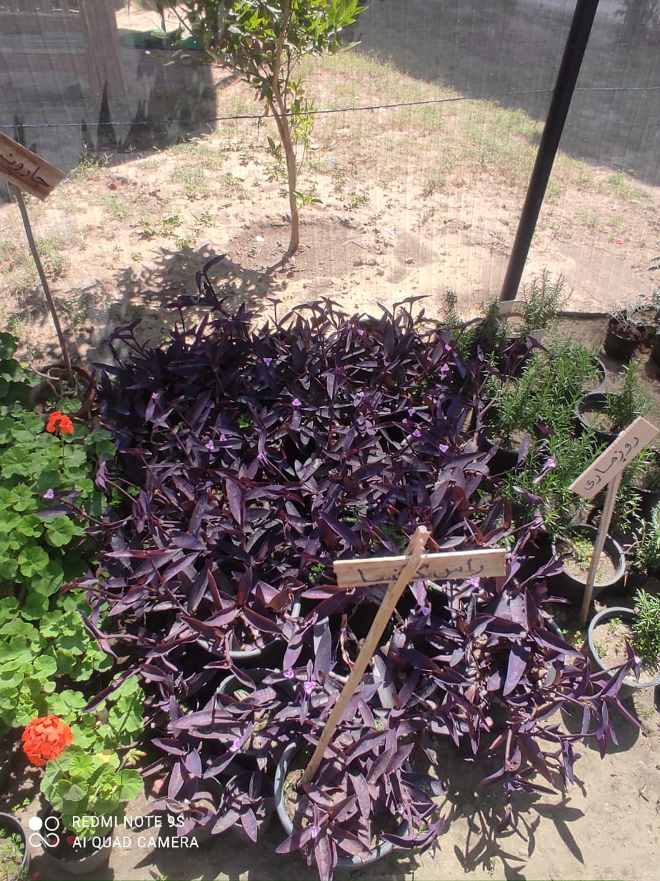 جانب من أعمال الحملة،فيتو