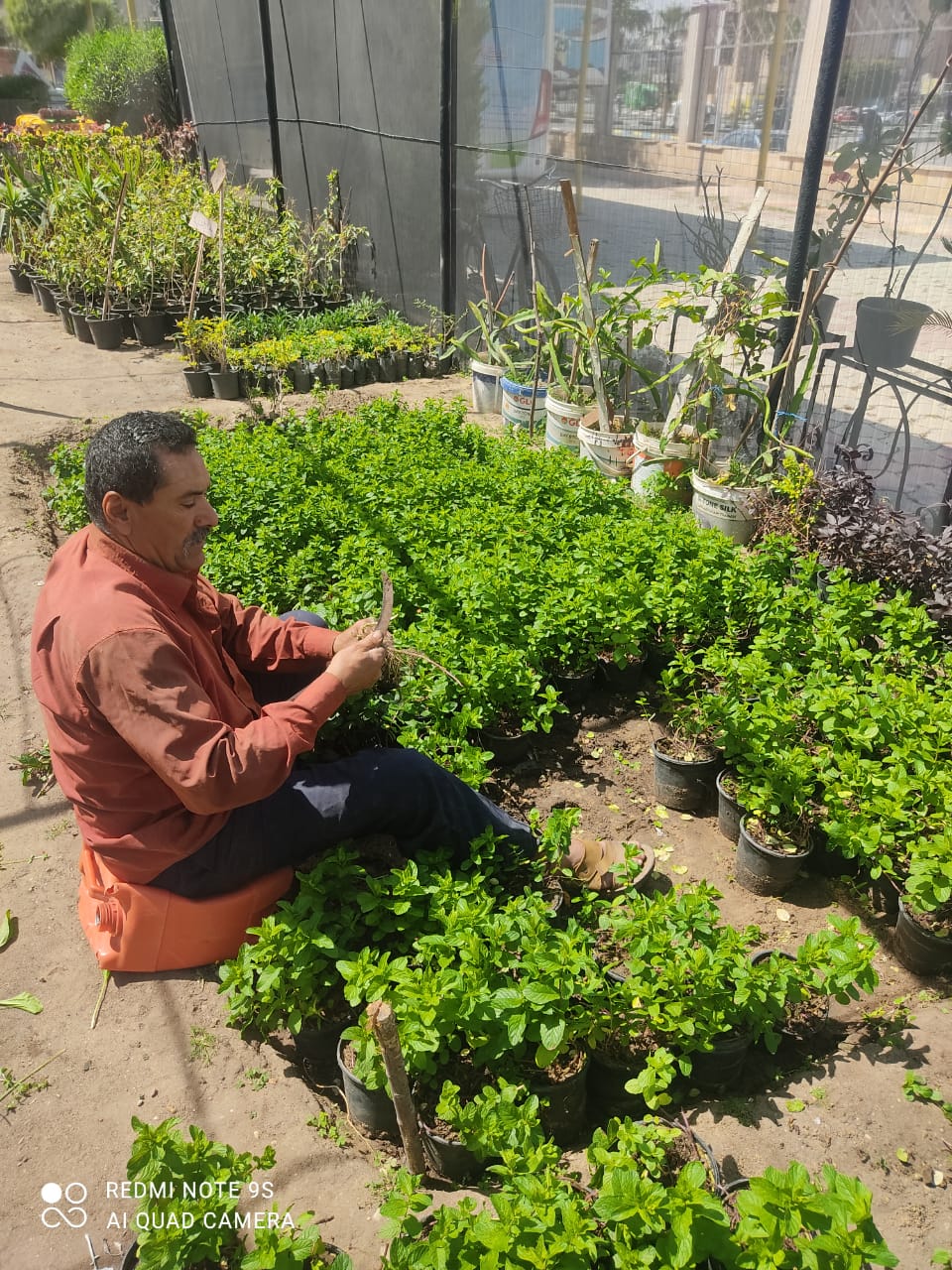 جانب من أعمال الحملة،فيتو